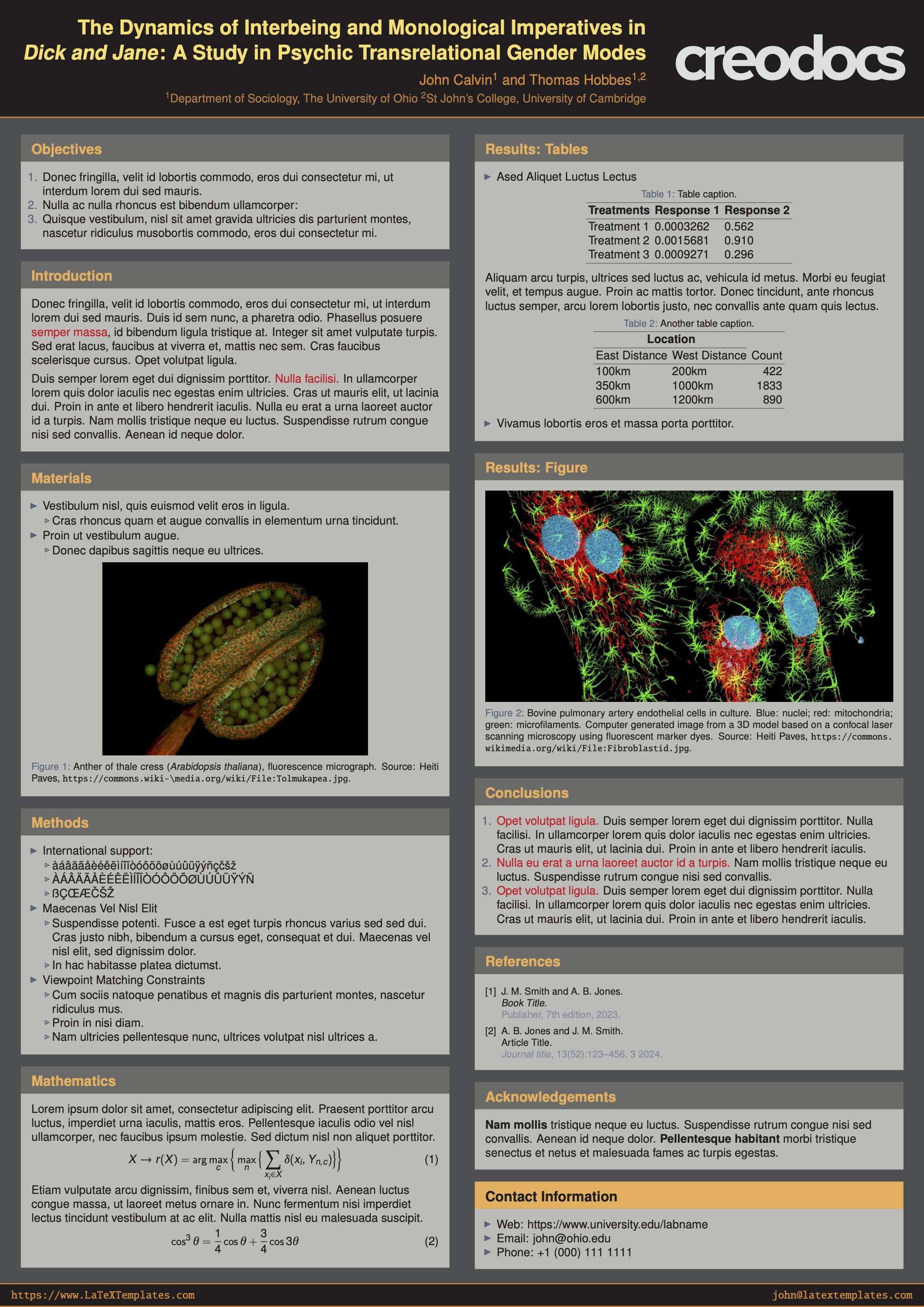 scientific poster latex template