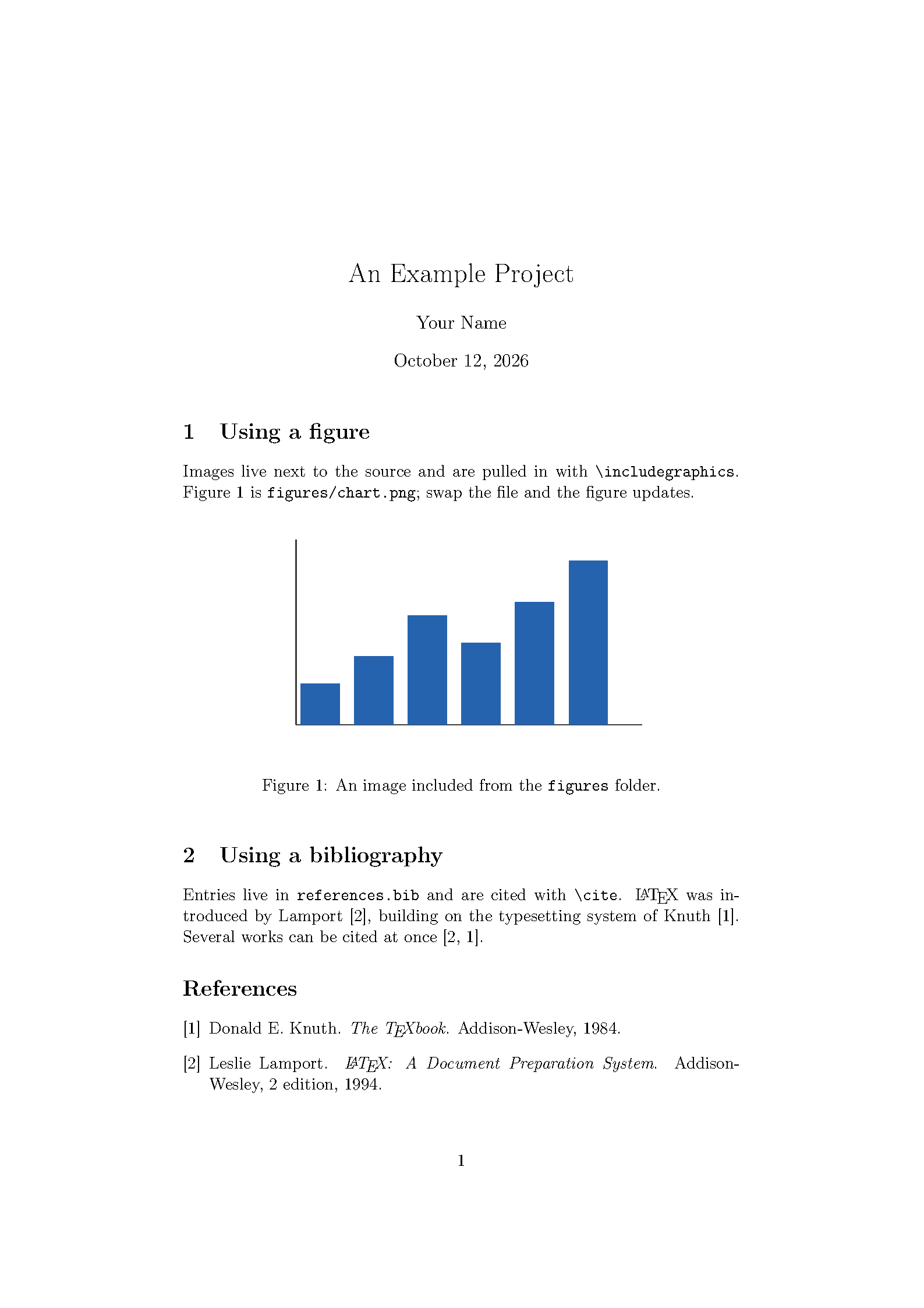 First page of the compiled Example Project template