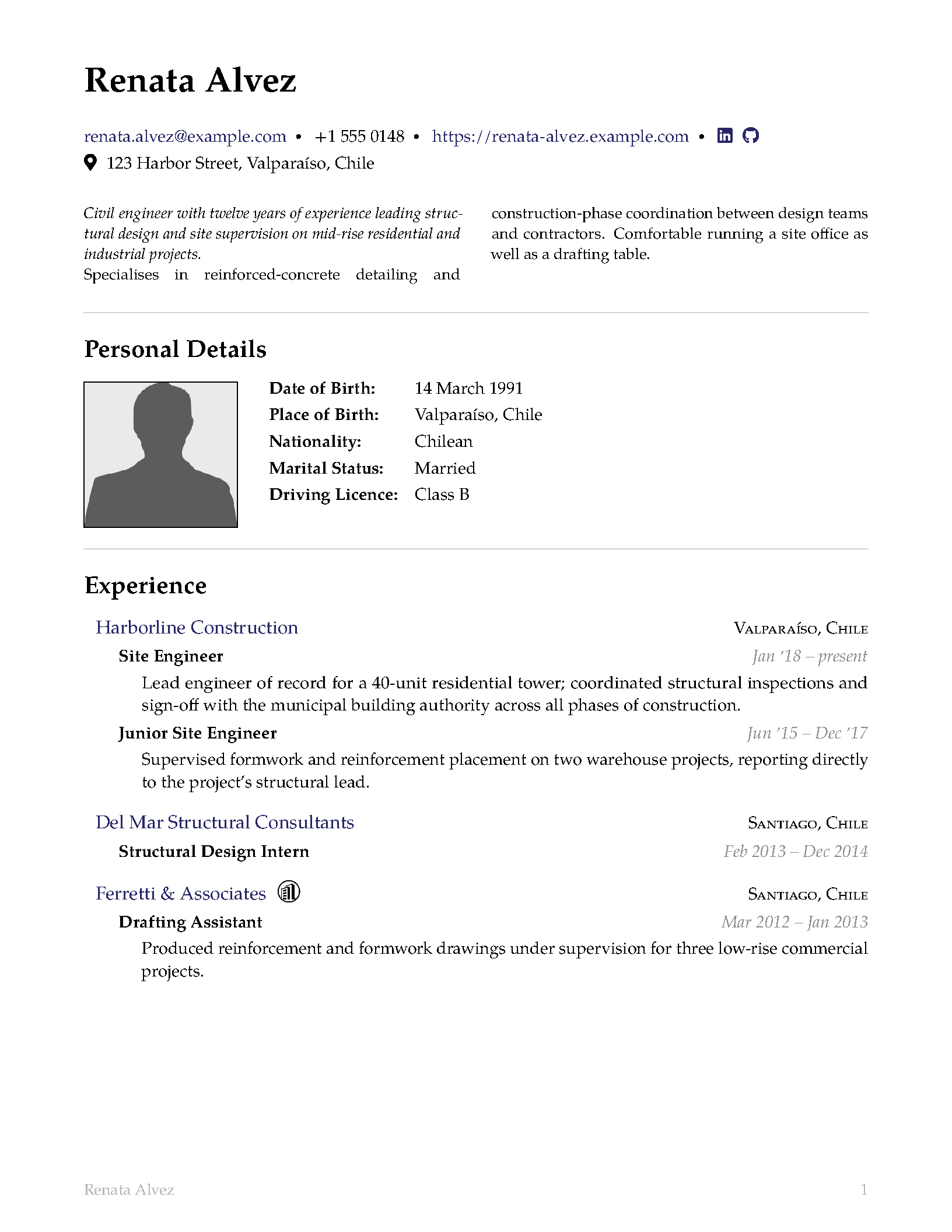 First page of the Professional CV template